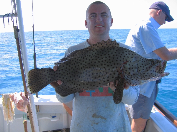 Barramundi Cod